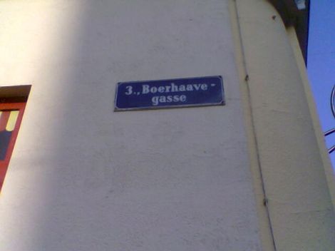 Boerhaavegasse