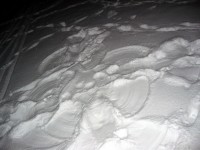 Rodeln am Kahlenberg, Bild 16