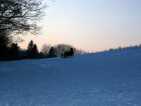 Rodeln am Kahlenberg, Bild 8