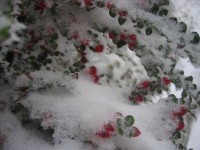 Pfarrwochenende am Sonntagberg, Bild 10