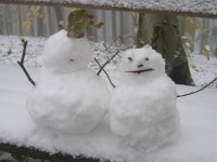 Pfarrwochenende am Sonntagberg, Bild 6
