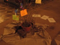 FiVo "Fastenzeit", Bild 32