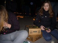 Nacht des Schweigens, Bild 12