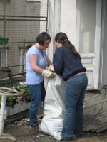 Entrümpelung der Dachterrasse, Bild 22