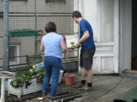 Entrümpelung der Dachterrasse, Bild 9