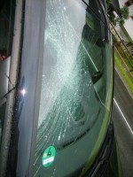 Los gehts -  in Saalbach!, Bild 32