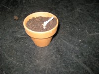 FiVo "Taufe", Bild 21