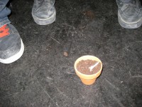 FiVo "Taufe", Bild 22