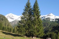 Tag 5 - Schwimmbad & Wandern, Bild 1