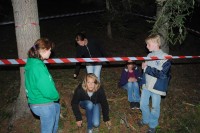 Kreatives Treiben & Schwimmen, Bild 3