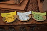 FiVo 2012 - Vorstellmesse, Bild 20