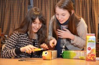 FiVo12 Schöpfungsverantwortung, Bild 2