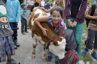 Sommerlager 2013 - Tag 5, Bild 6