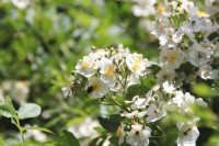 Sommerwoche 2016 - Teil I, Bild 35