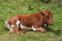 Sommerwoche 2016 - Teil I, Bild 60