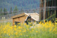 Sommerwoche 2016 - Teil I, Bild 75