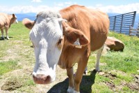 Sommerwoche 2016 - Teil II, Bild 56